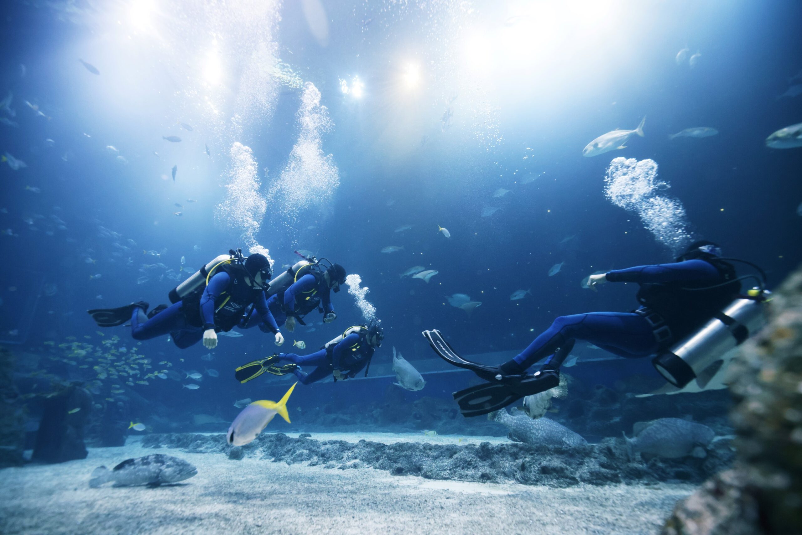 Diving